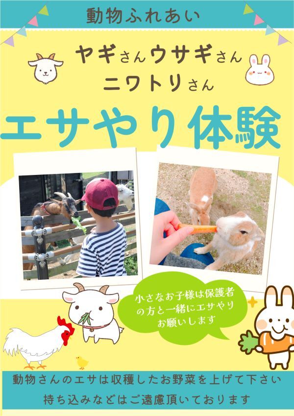 エサやり体験 (1)